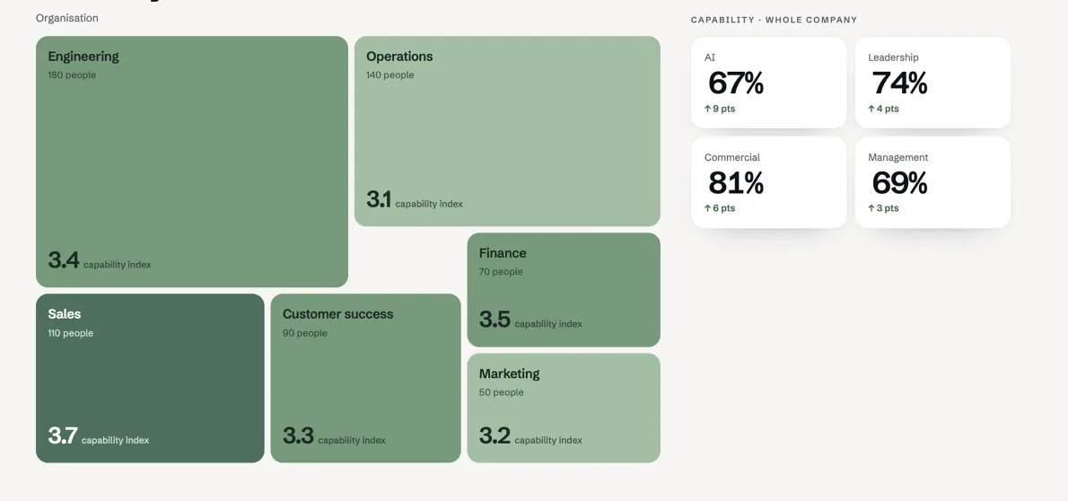 An organisation capability map across Engineering, Operations, Sales, Customer success, Finance, and Marketing, alongside company-wide AI, leadership, commercial, and management scores.